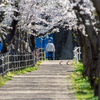 五条川