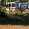伊那田島　中川村赤そば畑２
