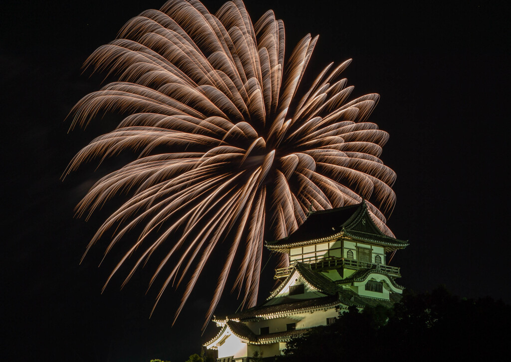 2024 犬山ロングラン花火2日目-6