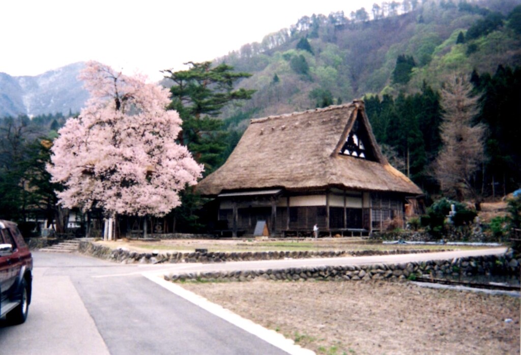 写ルンです