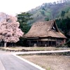 写ルンです