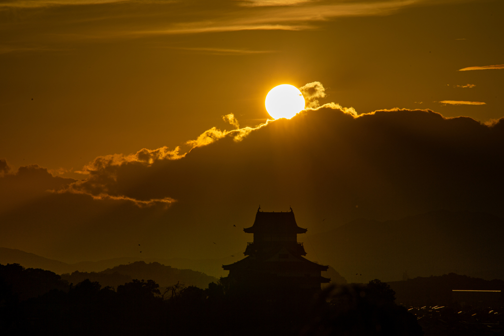 犬山城夕景