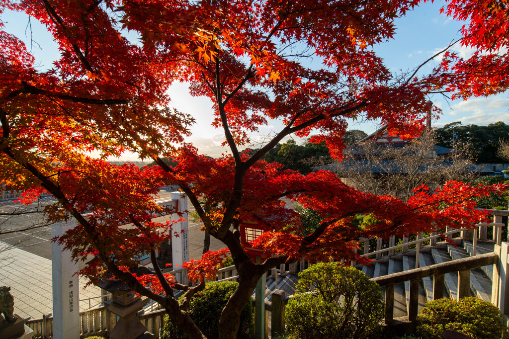 犬山成田山-27