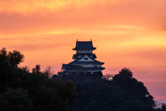 3月1日犬山城夕景