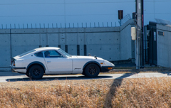 Z