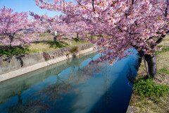 犬山半ノ木川