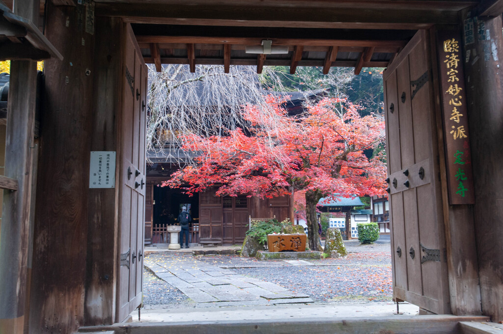 定光寺-12