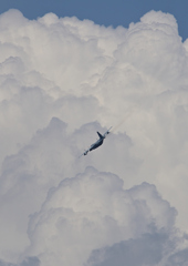 県営名古屋空港