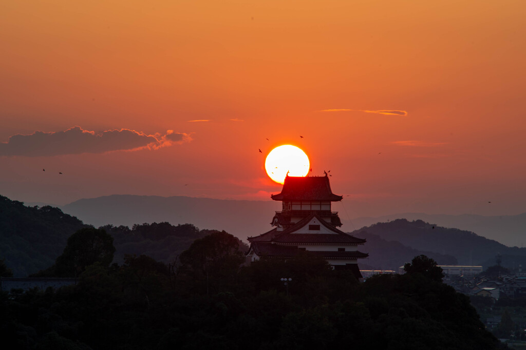 犬山城夕景-72