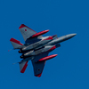 航空祭事前訓練５