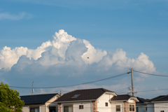 夕方散歩