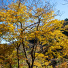奈良井宿～鳥居峠～薮原宿-68
