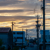 夕方散歩