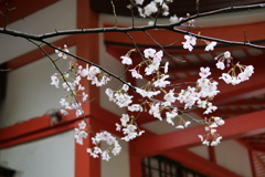 E702F84D-75A7-453F-A5B7-1EBE5995FE64