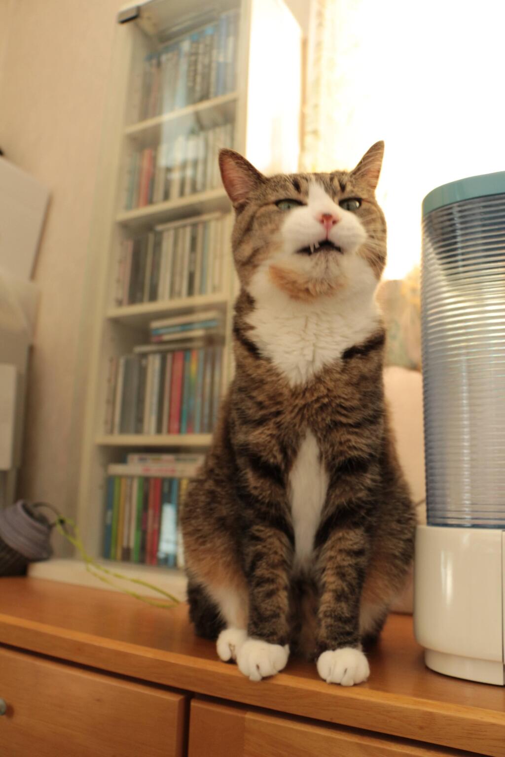 チッ！