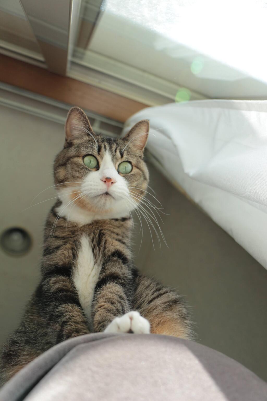 ん？なんかいる、、？