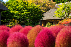 秋の風景