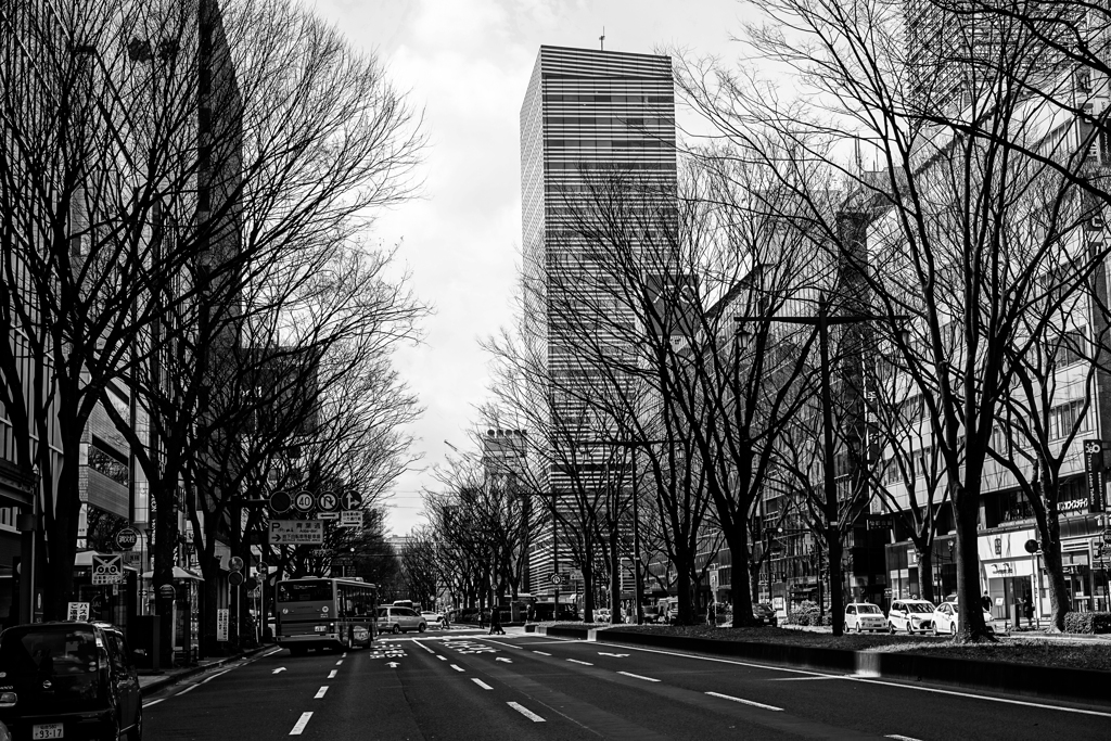 仙台市街景観