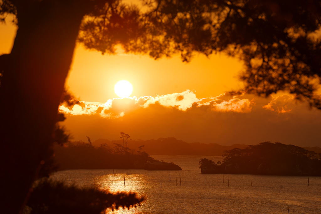 松島の朝日