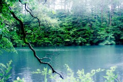 雨の五色沼