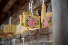 金蛇水神社