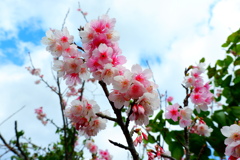 早春