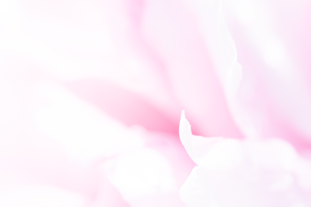 花嫁