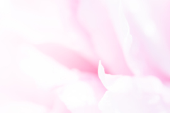 花嫁