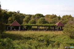 蜻蛉池公園その１