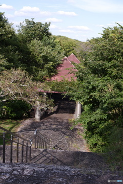 蜻蛉池公園その２