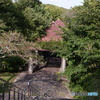 蜻蛉池公園その２