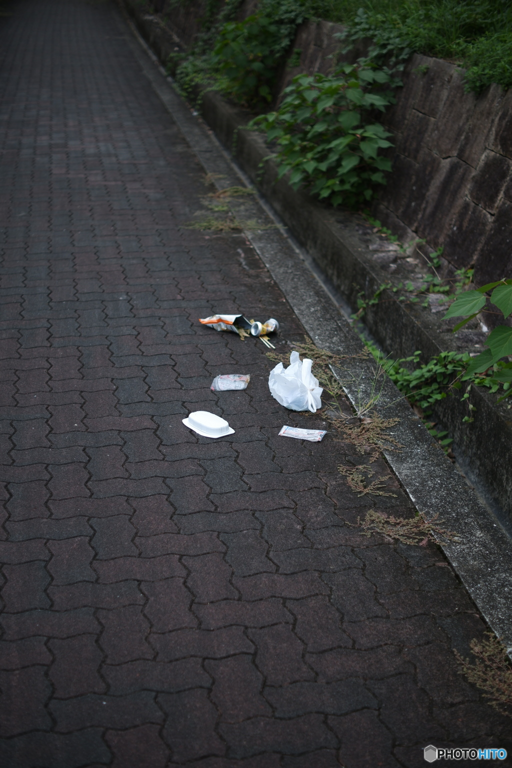 ポイ捨て