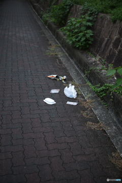 ポイ捨て