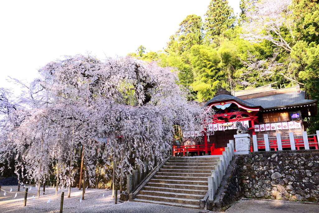 福島県いわき市小川諏訪神社