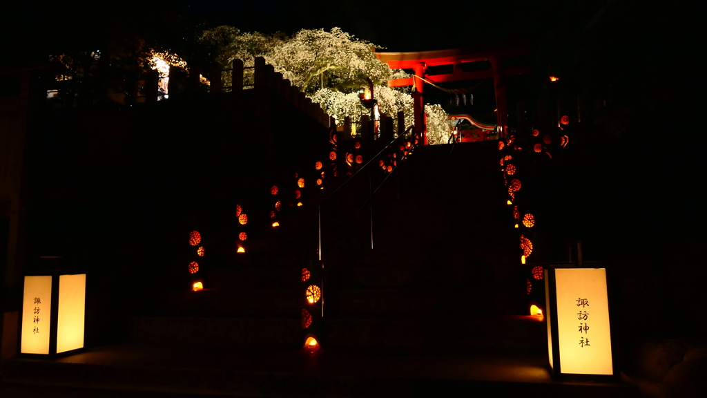 諏訪神社夜2024年