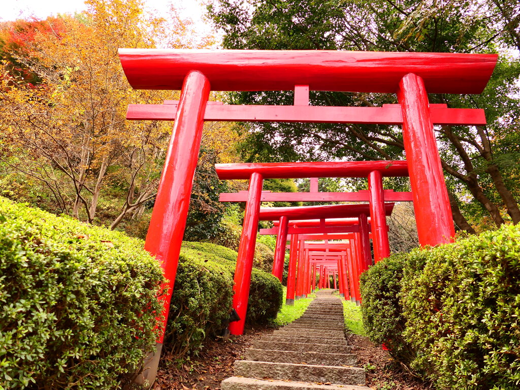 稲荷大神２