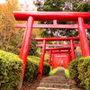 稲荷大神２