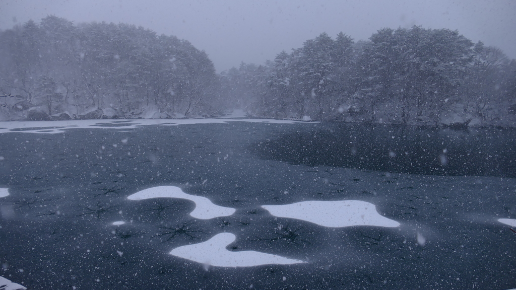 毘沙門沼小雪