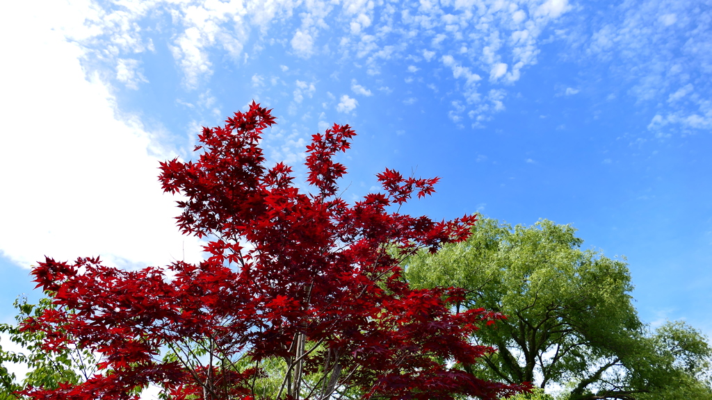 空