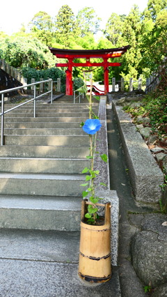 小川諏訪神社・福島県いわき市