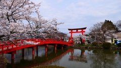 涼ヶ岡八幡神社３ 