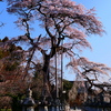 富岡町　宝泉寺２