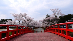 涼ヶ岡八幡神社２