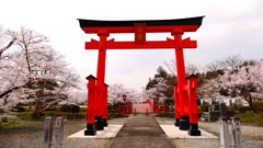 涼ヶ岡八幡神社１