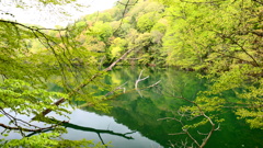 鶏頭場の池