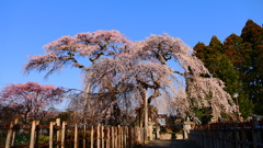 富岡町　宝泉寺１