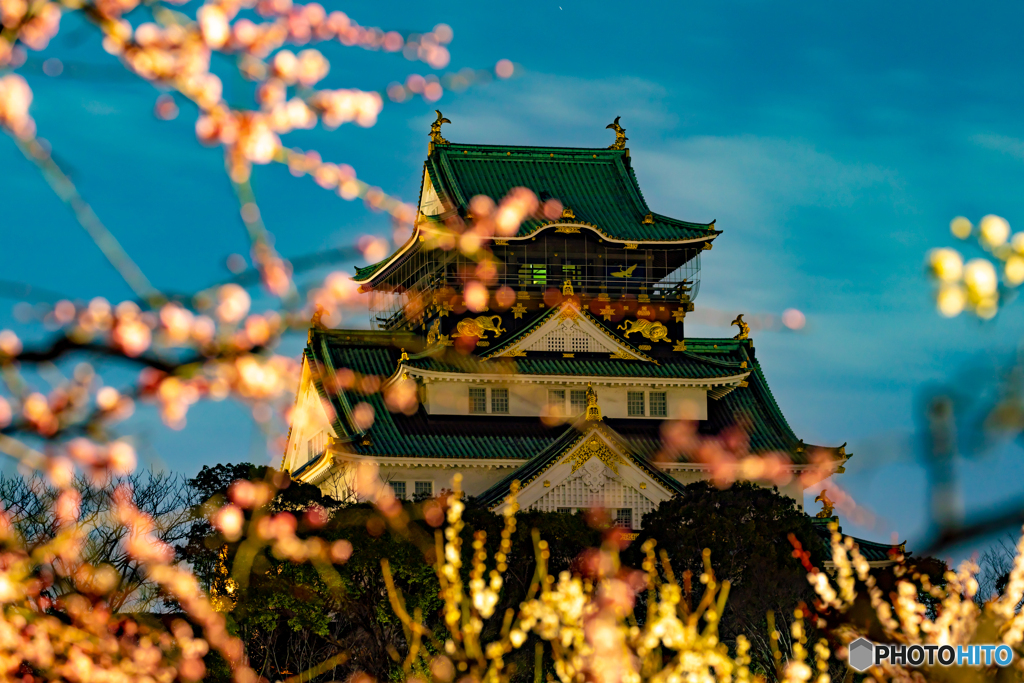 大阪城（梅）