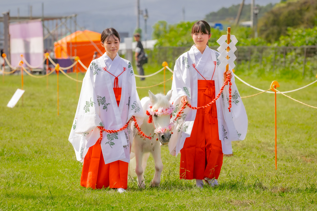 ちっちゃな神様と巫女さん