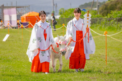 ちっちゃな神様と巫女さん
