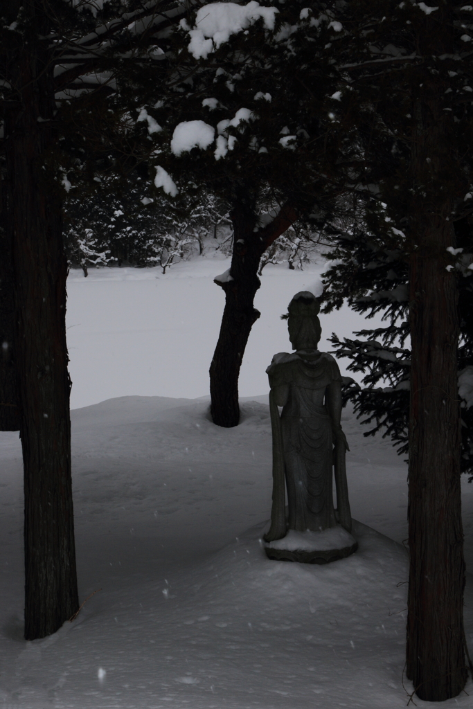 見守っていますよ